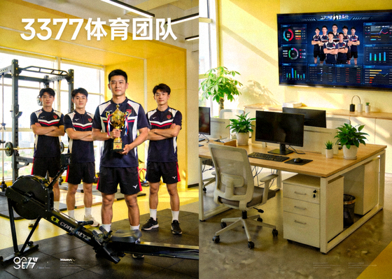 3377体育团队与办公环境展示